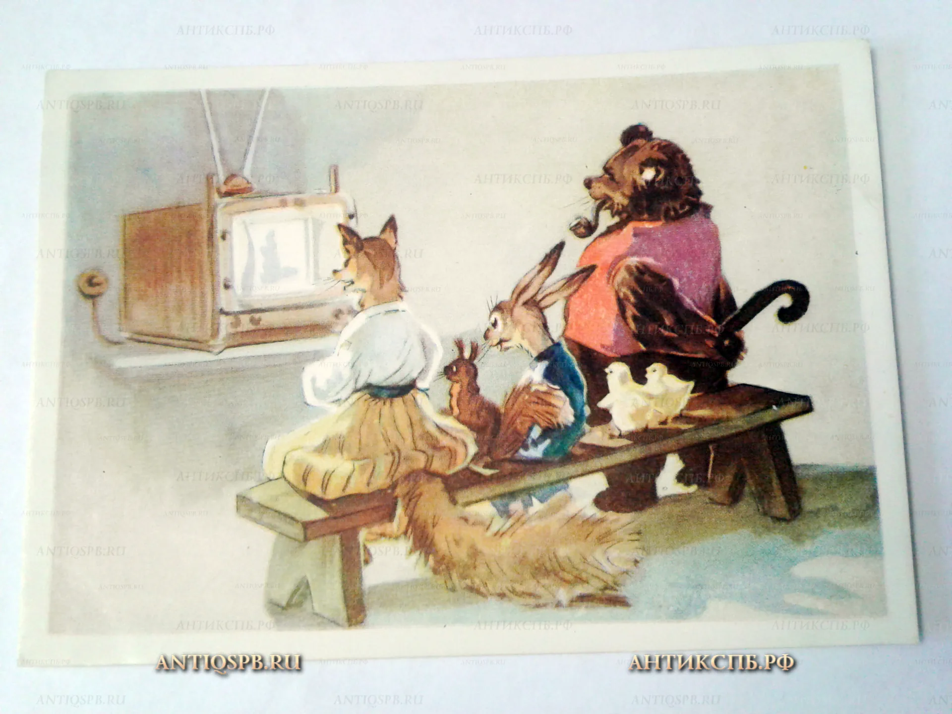 Открытка "Звери у телевизора". Эстонская ССР. Вт. пол. ХХ века. №8345